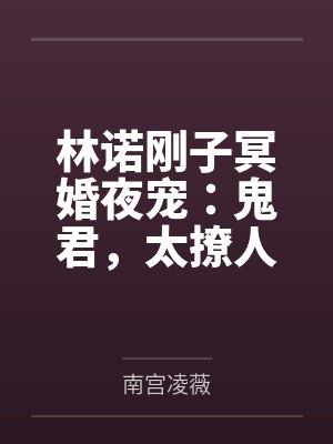林浩阿赖耶封面