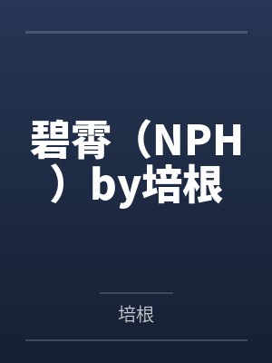 小余老板娘封面