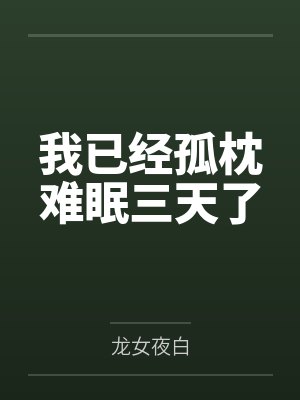 你好岑冬青小说封面